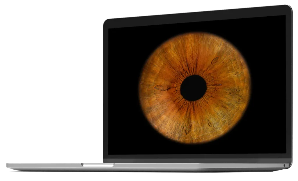 laptop with a picture of brown iris